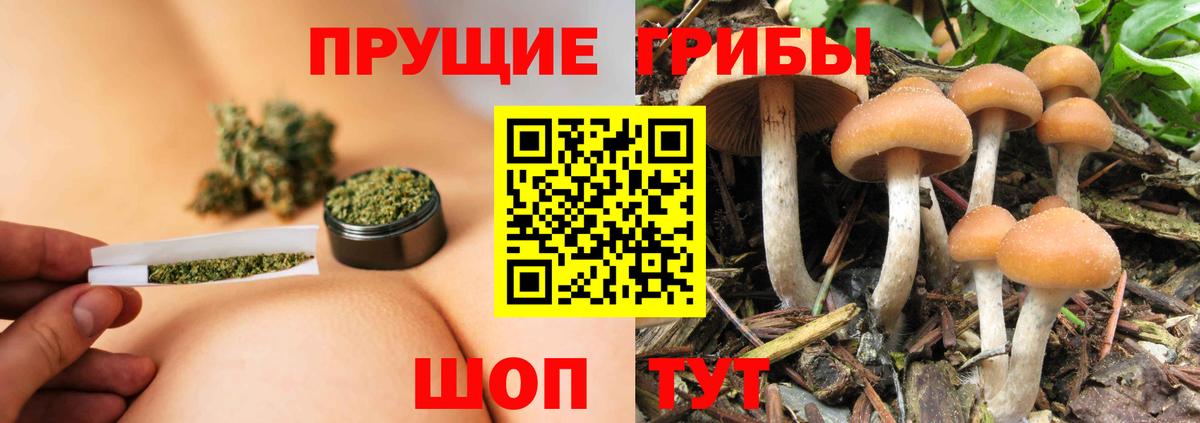 Псилоцибиновые грибы Cubensis  Вход с VPN  Качканар  Псилоцибиновые грибы Magic Shrooms 